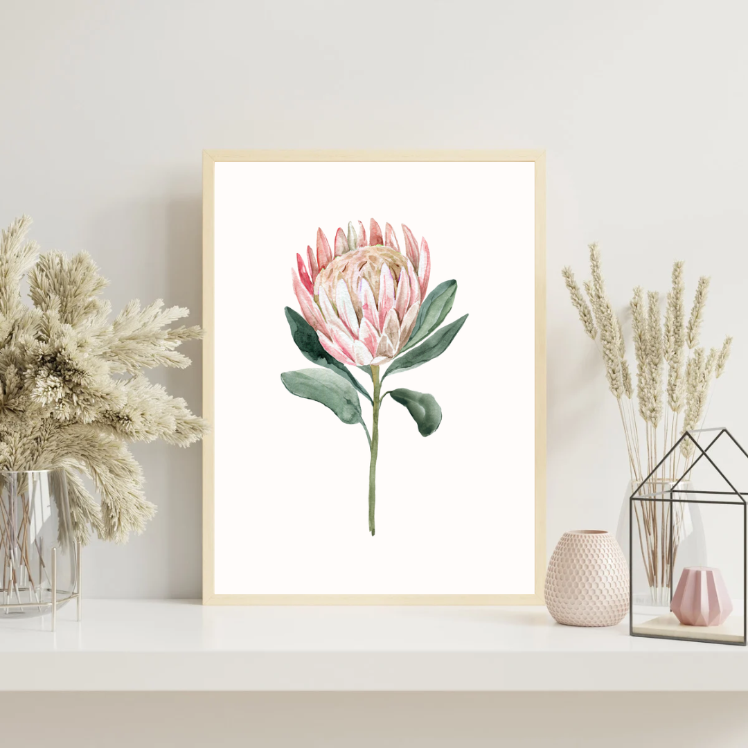 Queen Protea Print