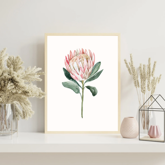 Queen Protea Print