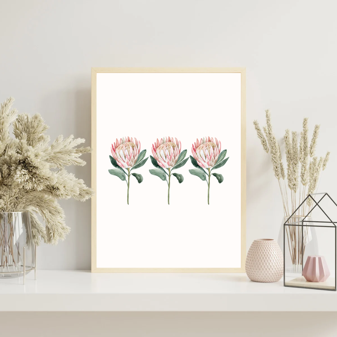 Queen Protea Set Print
