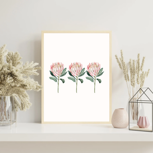 Queen Protea Set Print