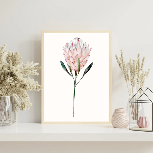 King Protea Print