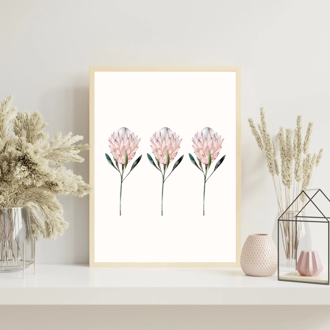 King Protea Set Print