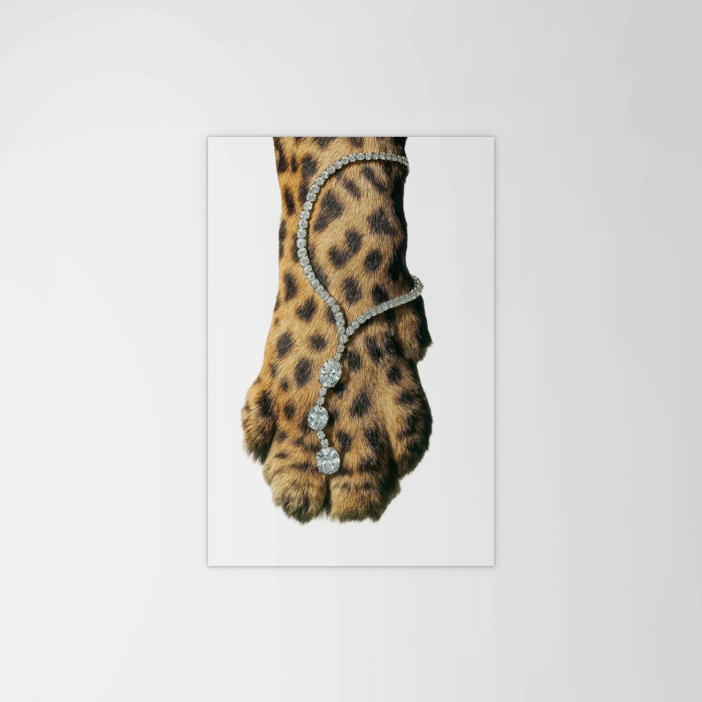 Leopard and Jewellery Print