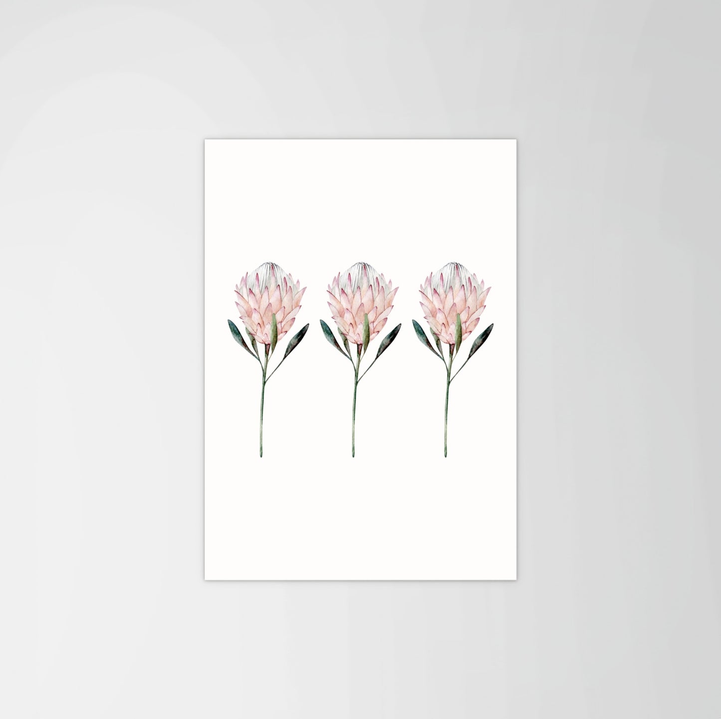 King Protea Set Print