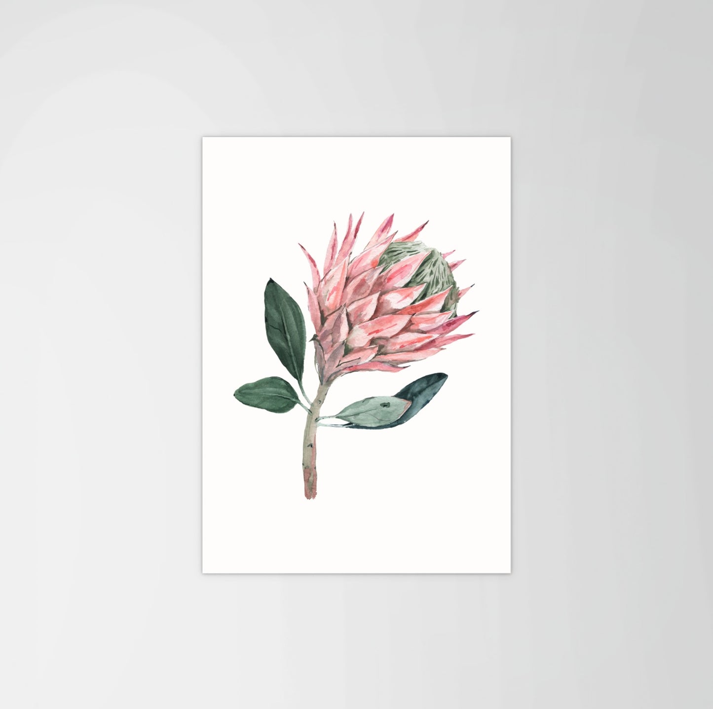 Protea Print