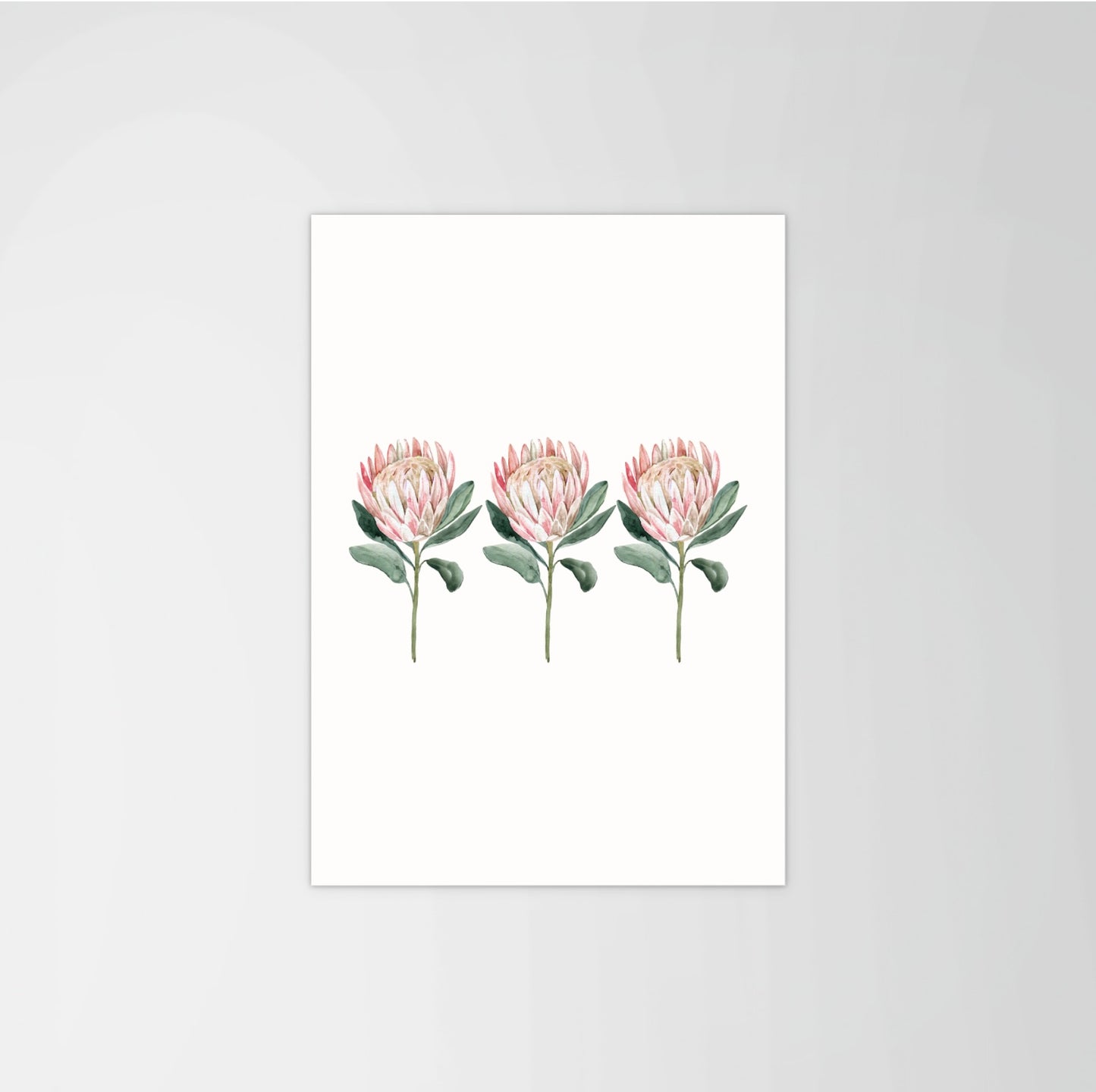 Queen Protea Set Print