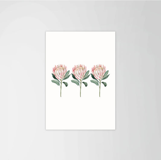Queen Protea Set Print